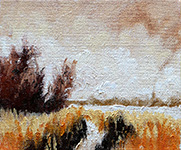 Stanwick Lakes Series